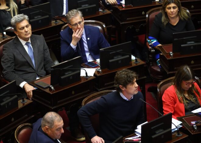 Senado: el kirchnerismo sumó a varios exaliados del Gobierno y sancionó los proyectos jubilatorios y la emergencia en discapacidad