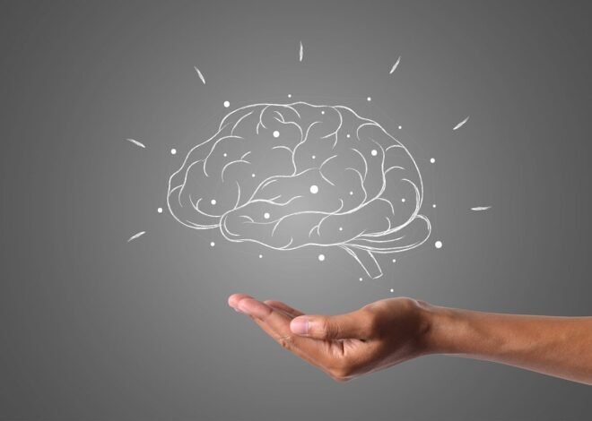 Día del Cerebro: por qué se celebra hoy y recomendaciones para mantener una mente ágil Día del Cerebro: por qué se celebra hoy y recomendaciones para mantener una mente ágil