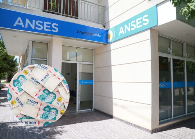 Calendario Anses: qué prestaciones sociales se cobran en la semana del 14 al 18 de julio