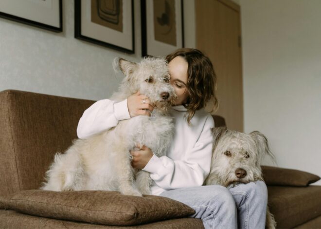 Cuáles son los beneficios de convivir con un perro, según Harvard