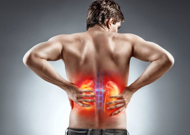 Un urólogo comparte siete consejos para cuidar los riñones y prevenir enfermedades: hábitos simples pero poderosos Un urólogo comparte siete consejos para cuidar los riñones y prevenir enfermedades: hábitos simples pero poderosos