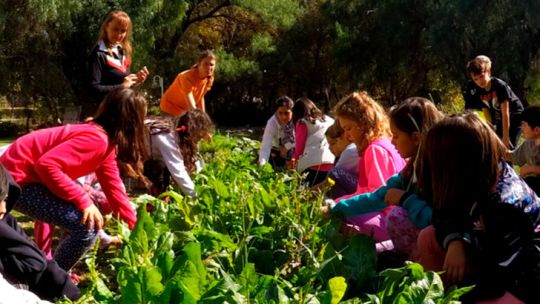Propuestas sin pantallas: las opciones para los chicos en vacaciones de invierno en Córdoba Propuestas sin pantallas: las opciones para los chicos en vacaciones de invierno en Córdoba
