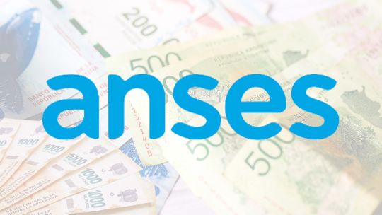 ANSES: qué prestaciones se pagan hoy 28 de julio de 2025 ANSES: qué prestaciones se pagan hoy 28 de julio de 2025