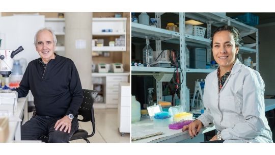 La Fundación Bunge y Born reveló los ganadores 2025 de su premio en "Bioquímica" y "Biología Molecular"