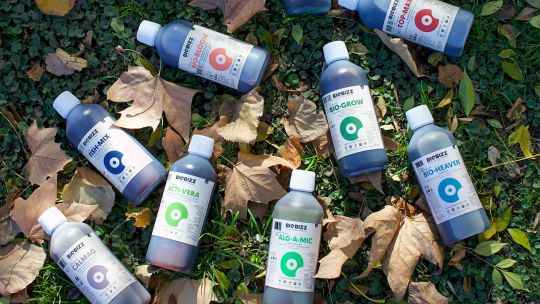 Cultivar cannabis con conciencia: la eficacia de los fertilizantes orgánicos en Argentina