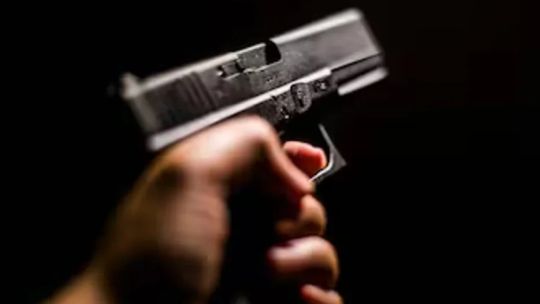El Gobierno implementó un trámite digital para ser legítimo usuario de armas de fuego El Gobierno implementó un trámite digital para ser legítimo usuario de armas de fuego