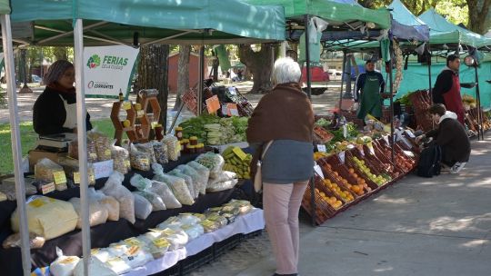 La economía no repunta en las redes: el escepticismo sigue firme pese a la baja de la inflación La economía no repunta en las redes: el escepticismo sigue firme pese a la baja de la inflación