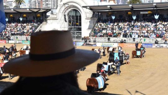 En Palermo no todo siempre fue color de rosa: historias de desplantes, silbatinas y trompadas en las exposiciones de la Rural
