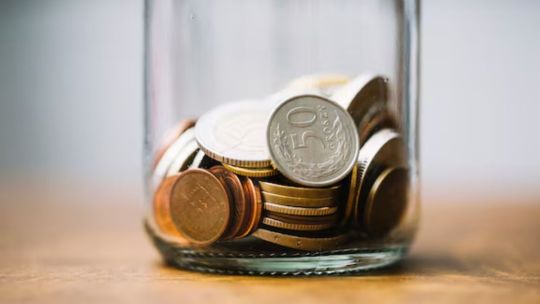 Las tres plantas que atraen el dinero y estabilidad financiera, según el Feng Shui Las tres plantas que atraen el dinero y estabilidad financiera, según el Feng Shui