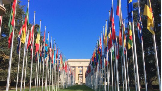 El Secretario General de la ONU revela el despojo en los territorios ucranianos ocupados por Rusia