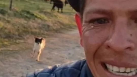 Un peón se puso a llorar al ser despedido y el video se viralizó en las redes sociales: "Lloro por mi perro"