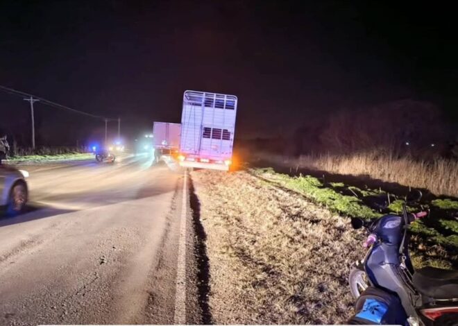 Entre Ríos: viajaba con su hija en una moto, se cayó al piso y murió atropellada por un camión