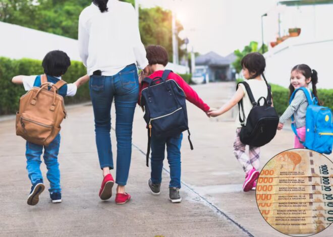 SUAF: a cuánto llegan las Asignaciones Familiares de la Anses en septiembre de 2025