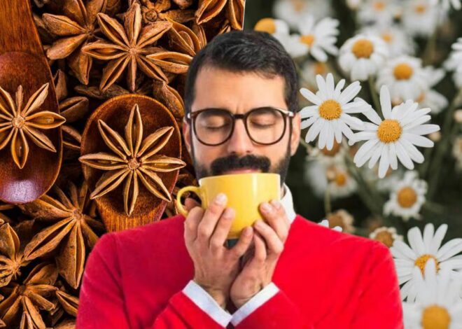 Beneficios del té de manzanilla con leche: ¿mejor en ayunas o antes de dormir? Beneficios del té de manzanilla con leche: ¿mejor en ayunas o antes de dormir?