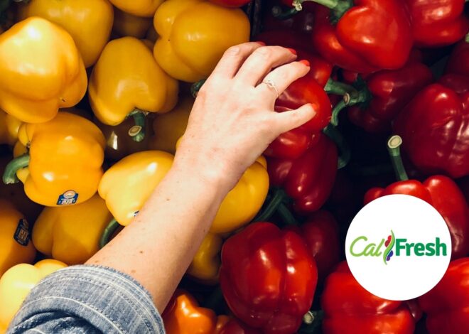 Pago de SNAP en septiembre de 2025 en California: ¿cuándo se depositan los cupones? Pago de SNAP en septiembre de 2025 en California: ¿cuándo se depositan los cupones?