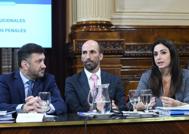 Milei puso como candidata en Provincia a la funcionaria encargada de controlar y financiar las elecciones