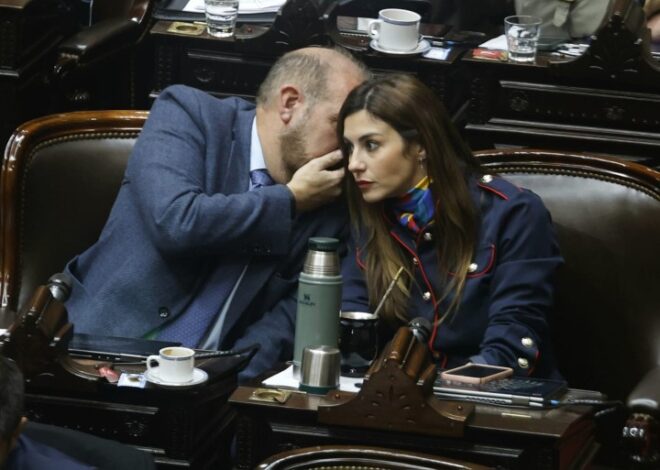 Se rompió el bloque libertario en medio de la sesión y cuatro diputados arman uno aparte Se rompió el bloque libertario en medio de la sesión y cuatro diputados arman uno aparte