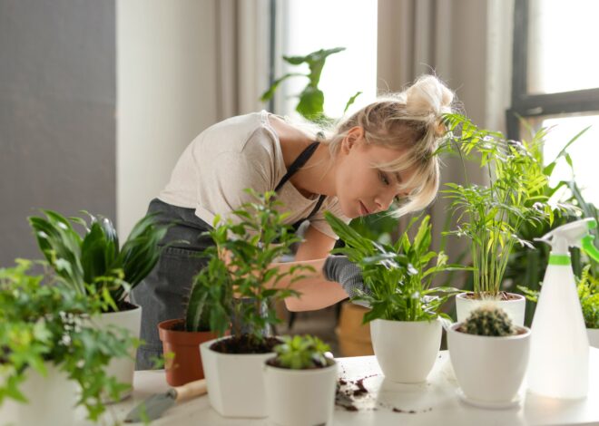 ¿Cómo hacer que las plantas resistan mejor el frío?