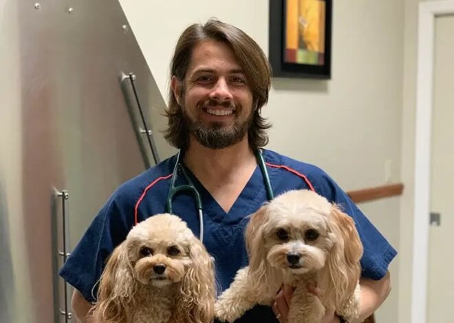 Dr. Abel Lera, veterinario de Florida: ¿cómo detectar si un perro tiene parásitos? Dr. Abel Lera, veterinario de Florida: ¿cómo detectar si un perro tiene parásitos?