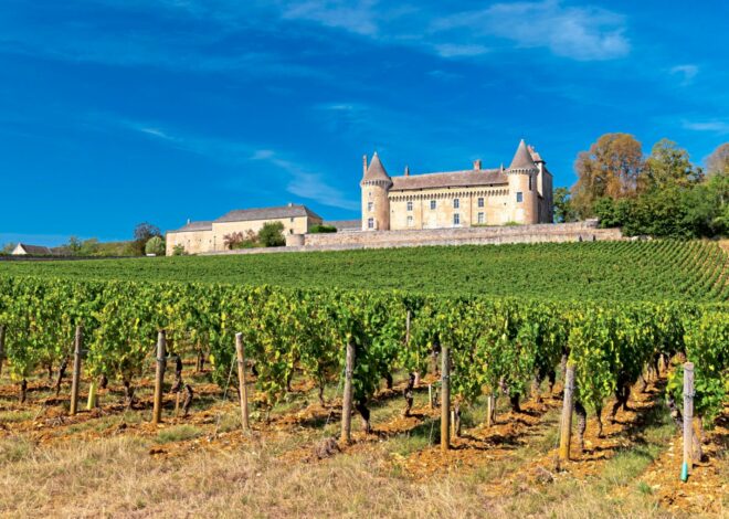 Día del Pinot Noir: el vino más buscado que es, también, el más caro del momento y estrella de las subastas Día del Pinot Noir: el vino más buscado que es, también, el más caro del momento y estrella de las subastas
