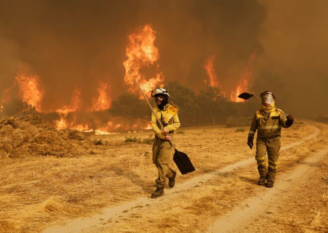 España enfrenta una crisis histórica: incendios, más de 1100 muertes por calor y el cierre del Camino de Santiago España enfrenta una crisis histórica: incendios, más de 1100 muertes por calor y el cierre del Camino de Santiago