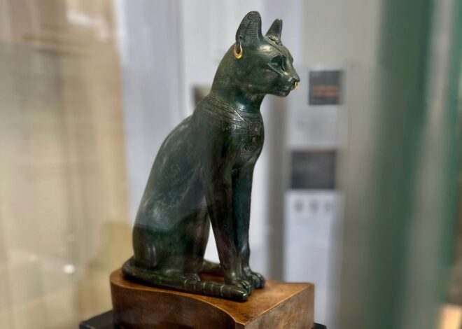 La historia del legendario gato Gayer-Anderson, una obra que nos observa La historia del legendario gato Gayer-Anderson, una obra que nos observa