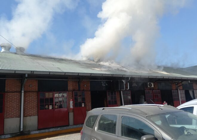 Un incendio en el Puerto de Frutos afectó a dos locales comerciales Un incendio en el Puerto de Frutos afectó a dos locales comerciales