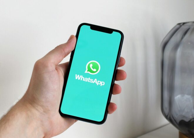 Así podés vaciar la papelera de WhatsApp y liberar espacio en el teléfono Así podés vaciar la papelera de WhatsApp y liberar espacio en el teléfono