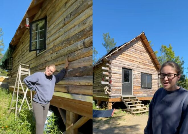 Construyeron su propia casa en un bosque en Maine y revelan cuánto gastaron: “Lo hicimos sin hipoteca” Construyeron su propia casa en un bosque en Maine y revelan cuánto gastaron: “Lo hicimos sin hipoteca”