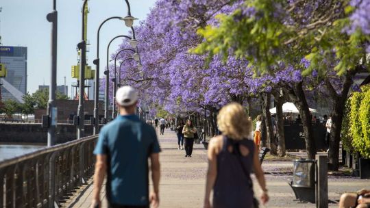 Temperatura templada y cielo despejado para este miércoles en el AMBA y en CABA: cuál es la máxima para este 27 de agosto