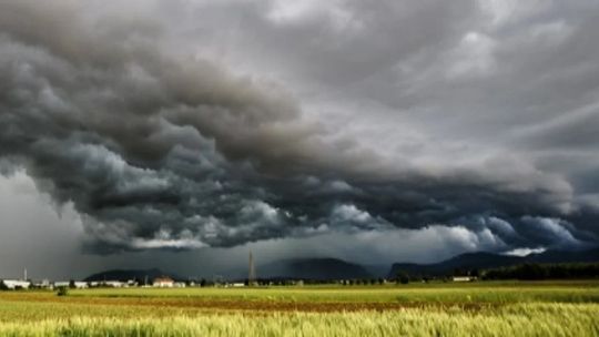 Cae la confianza del campo y se desploman 59% las expectativas de inversión en activos fijos Cae la confianza del campo y se desploman 59% las expectativas de inversión en activos fijos