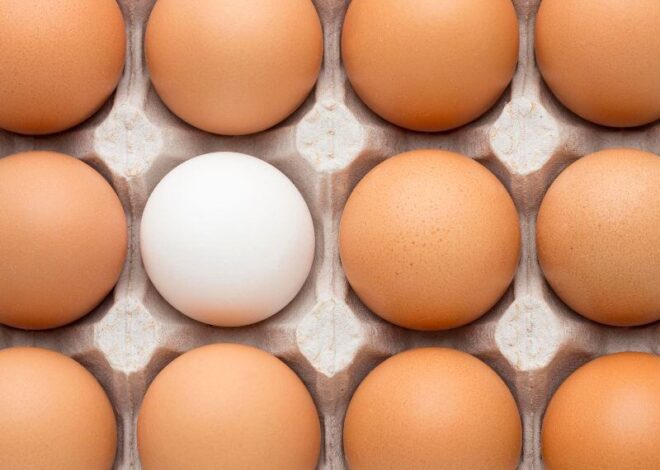 Cuál es la diferencia entre los huevos de cáscara blanca y los marrones, según expertos Cuál es la diferencia entre los huevos de cáscara blanca y los marrones, según expertos