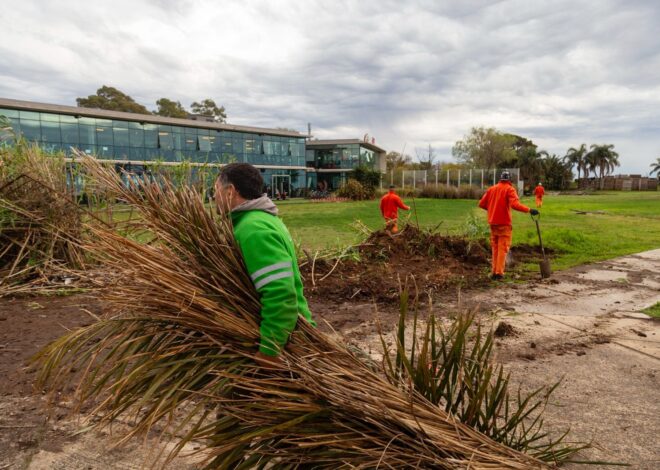 San Isidro: un gimnasio privado deberá achicar su perímetro para liberar espacio público en la costa