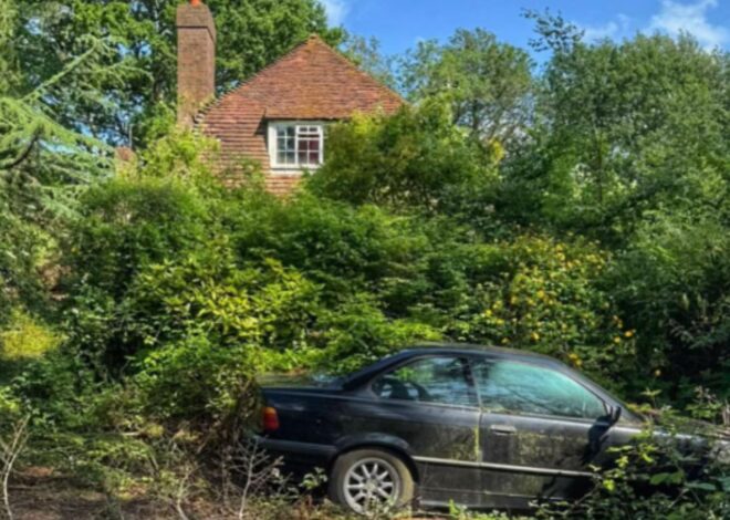 Entró a una mansión abandonada y lo que encontró fue aterrador: “Él no puede afrontarlos” Entró a una mansión abandonada y lo que encontró fue aterrador: “Él no puede afrontarlos”