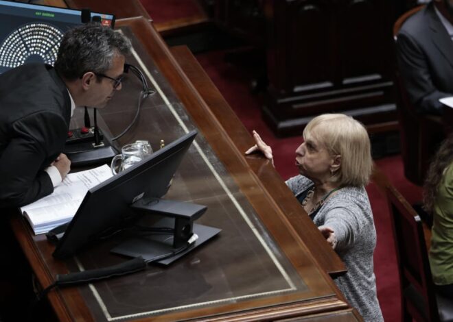 Diputados se prepara para resistir los vetos de Milei al financiamiento del Garrahan y las universidades