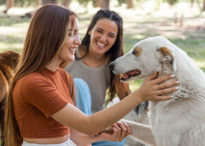 Qué significa que tu perro te mire fijo a los ojos por un rato