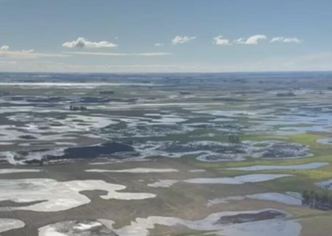 Trámite simple: cómo pedir los beneficios de la emergencia agropecuaria
