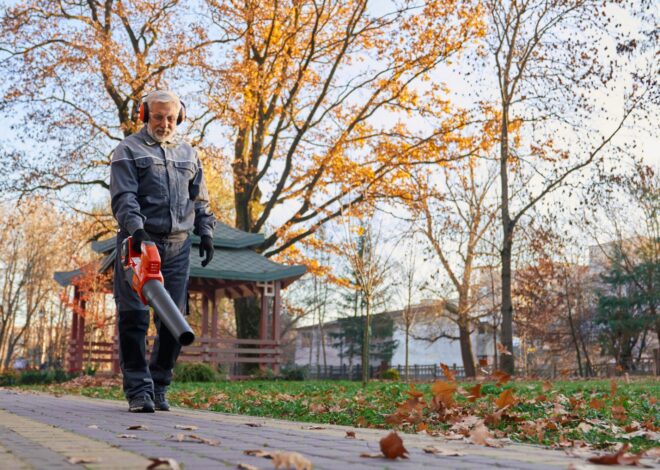 El proyecto de ley en Filadelfia que busca prohibir esta práctica común para limpiar los jardines El proyecto de ley en Filadelfia que busca prohibir esta práctica común para limpiar los jardines