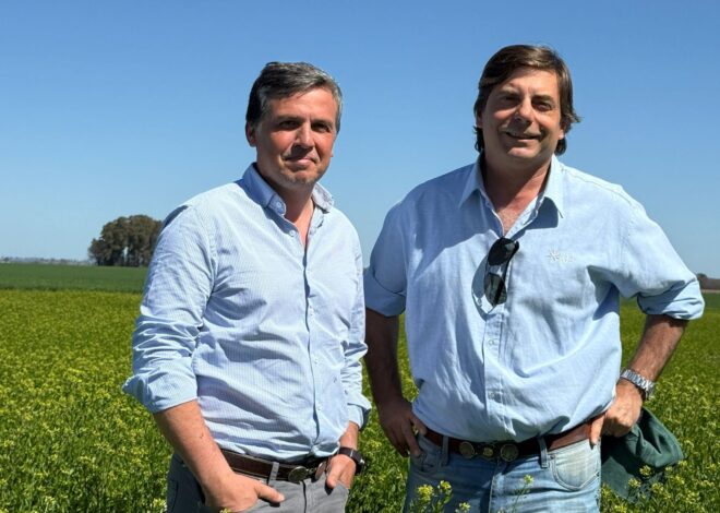 Tiene 20.000 hectáreas: una empresa de capitales italianos marcó un hito en una región agrícola argentina