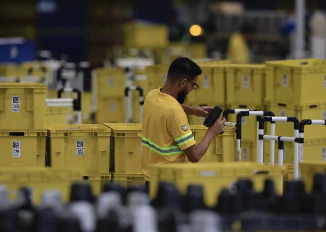 Mercado Libre Negocios: cómo funciona la nueva apuesta mayorista del gigante del e-commerce