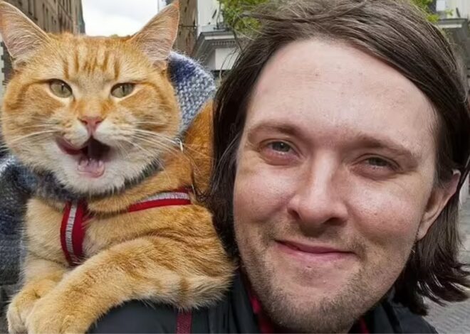 Vivía en la calle, adoptó un gato y gracias al animal se volvió millonario