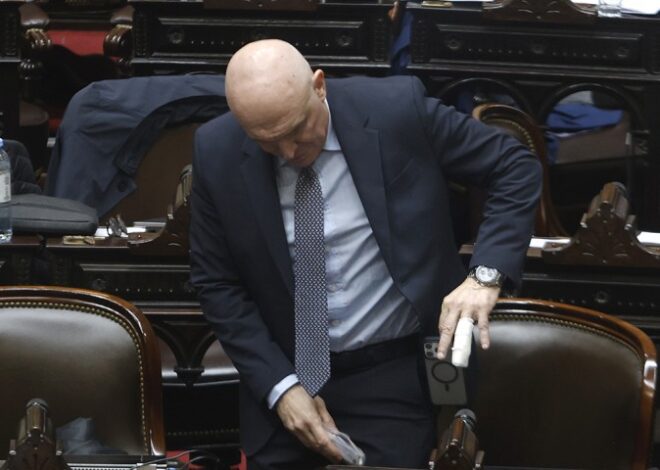 Espert no negó la transferencia de Machado y advirtió: "No me voy a bajar" Espert no negó la transferencia de Machado y advirtió: "No me voy a bajar"