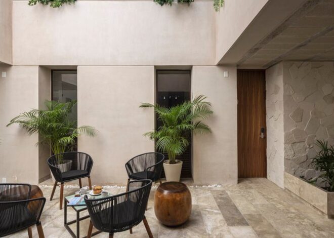 Qué hacer y cómo proteger un patio del pulmón interno del edificio Qué hacer y cómo proteger un patio del pulmón interno del edificio