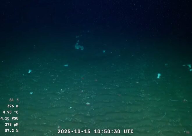 Ecos de dos cañones: comenzó el streaming de una nueva expedición científica en el Atlántico Sur Ecos de dos cañones: comenzó el streaming de una nueva expedición científica en el Atlántico Sur