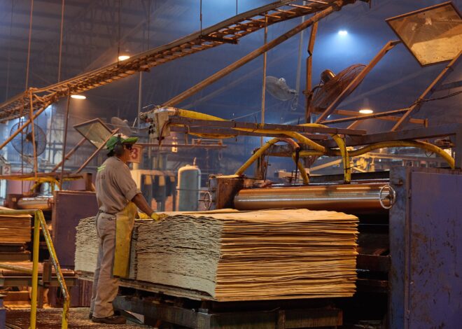 Empresas argentinas en crisis: default corporativo y reestructuración de deuda