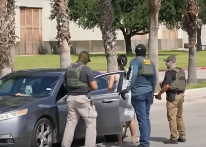 Para evitar al ICE en Texas: los documentos que todo migrante debe tener a mano si viaja por carretera