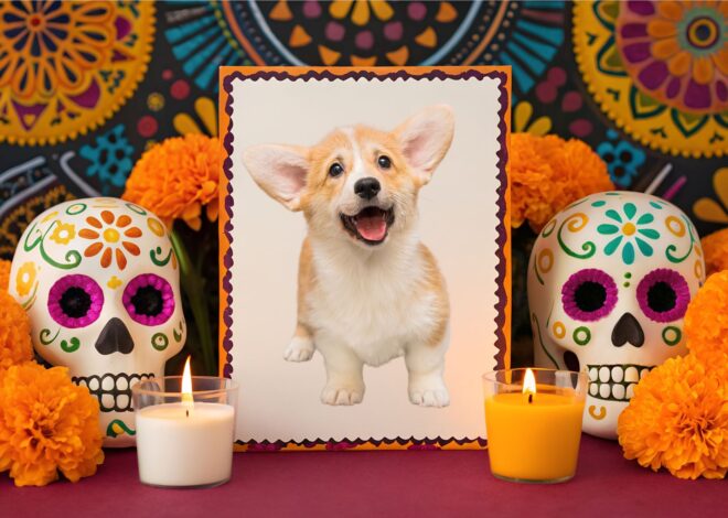Día de Muertos 2025: así podés crear el video con IA de tu mascota cruzando el Mictlán
