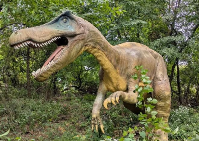 El parque temático en Nueva Jersey que vende sus réplicas de dinosaurios por cierre: cuánto cuestan
