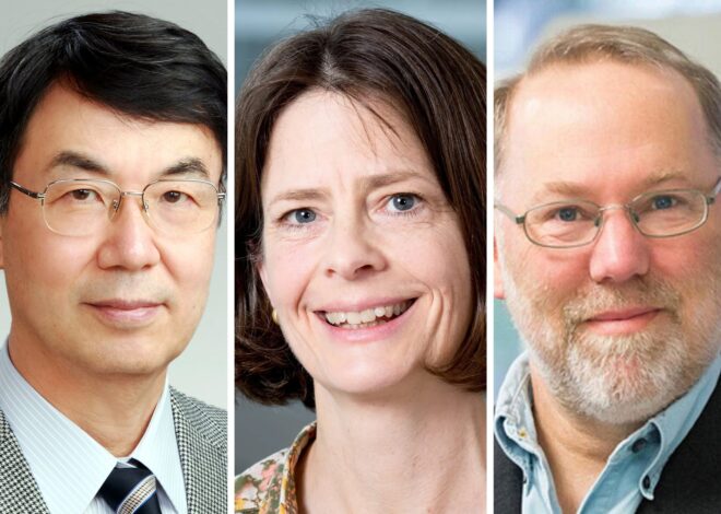 Nobel de Medicina. Qué avances permitieron los trabajos de los tres científicos premiados Nobel de Medicina. Qué avances permitieron los trabajos de los tres científicos premiados