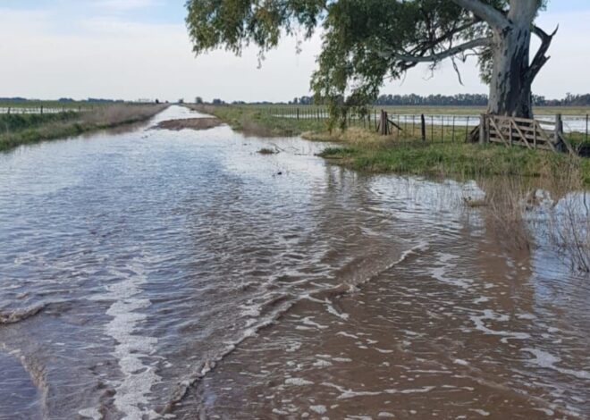 “Exceso de abandono”: enojados por los caminos y la inundación, productores de Carlos Casares se movilizarán contra el intendente “Exceso de abandono”: enojados por los caminos y la inundación, productores de Carlos Casares se movilizarán contra el intendente